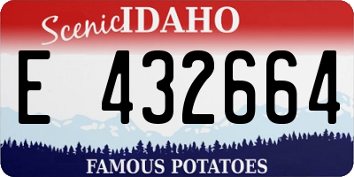 ID license plate E432664