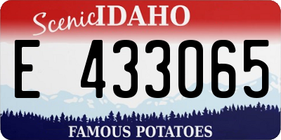 ID license plate E433065