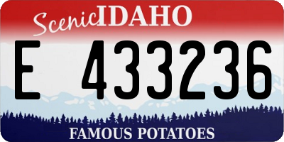ID license plate E433236