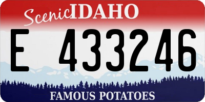 ID license plate E433246