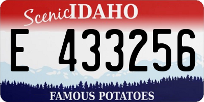 ID license plate E433256