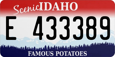 ID license plate E433389
