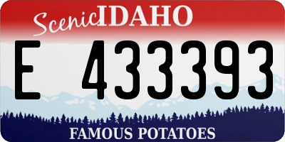 ID license plate E433393