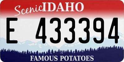 ID license plate E433394
