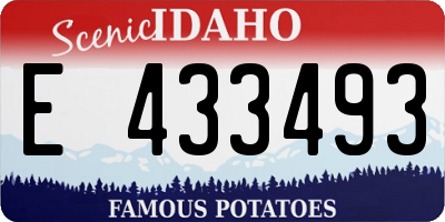 ID license plate E433493