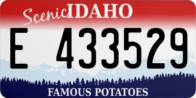ID license plate E433529