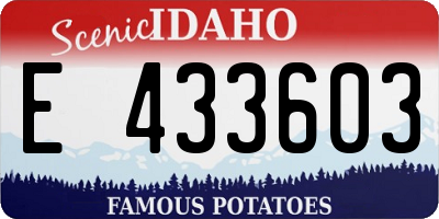 ID license plate E433603