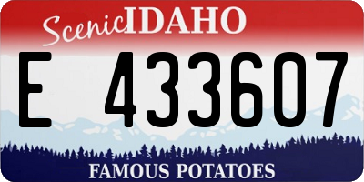 ID license plate E433607