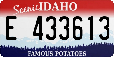 ID license plate E433613