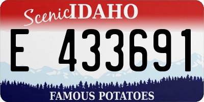 ID license plate E433691