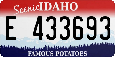 ID license plate E433693