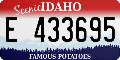 ID license plate E433695
