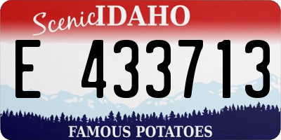 ID license plate E433713