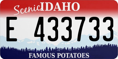 ID license plate E433733