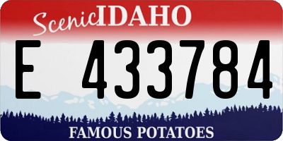 ID license plate E433784