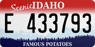 ID license plate E433793