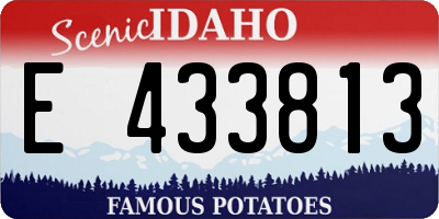 ID license plate E433813