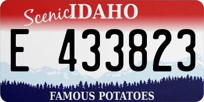 ID license plate E433823