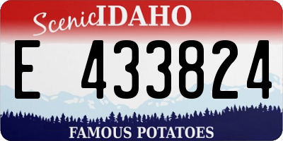 ID license plate E433824
