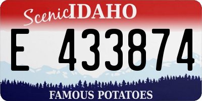 ID license plate E433874