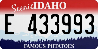 ID license plate E433993