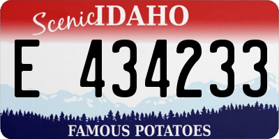 ID license plate E434233