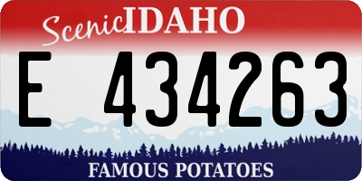 ID license plate E434263