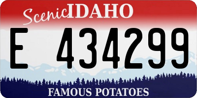 ID license plate E434299
