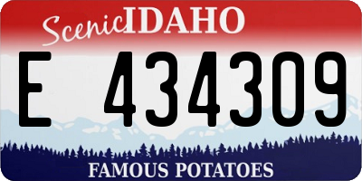 ID license plate E434309