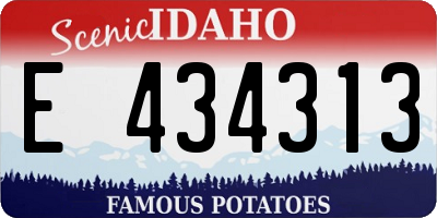 ID license plate E434313