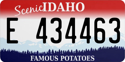 ID license plate E434463