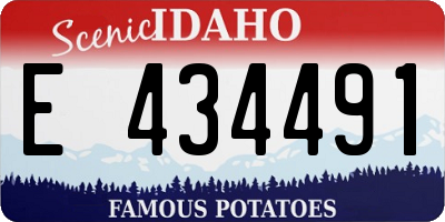 ID license plate E434491