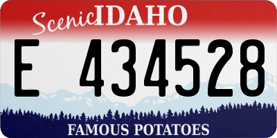 ID license plate E434528