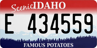 ID license plate E434559