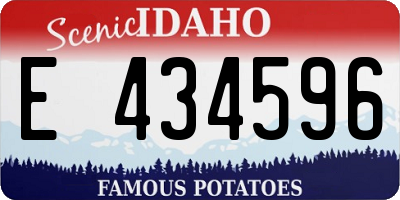 ID license plate E434596