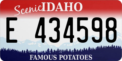 ID license plate E434598