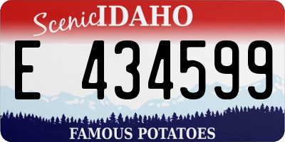 ID license plate E434599
