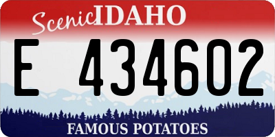 ID license plate E434602