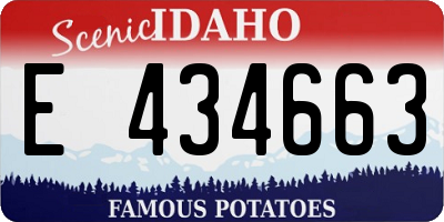 ID license plate E434663