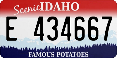 ID license plate E434667