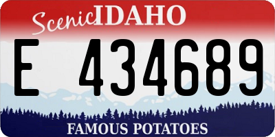 ID license plate E434689
