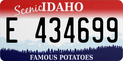 ID license plate E434699