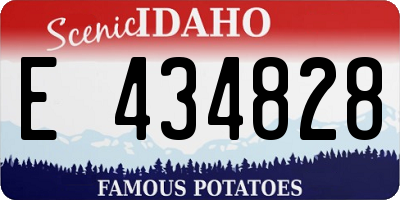 ID license plate E434828