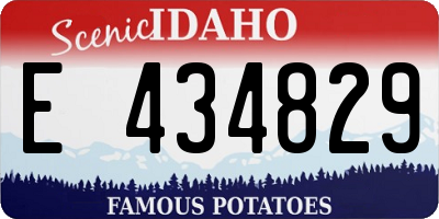 ID license plate E434829
