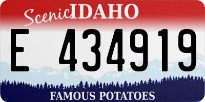 ID license plate E434919