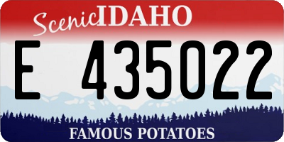 ID license plate E435022