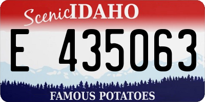ID license plate E435063