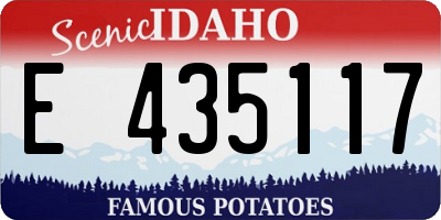ID license plate E435117