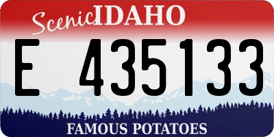 ID license plate E435133