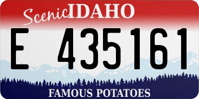 ID license plate E435161